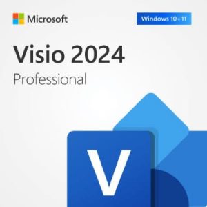 Microsoft Visio Professional 2024 ESD - EP2-07110